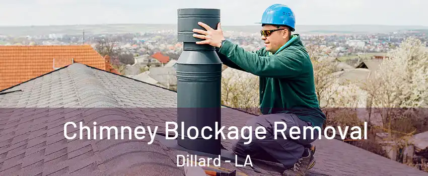 Chimney Blockage Removal Dillard - LA