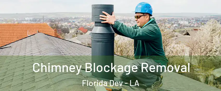 Chimney Blockage Removal Florida Dev - LA