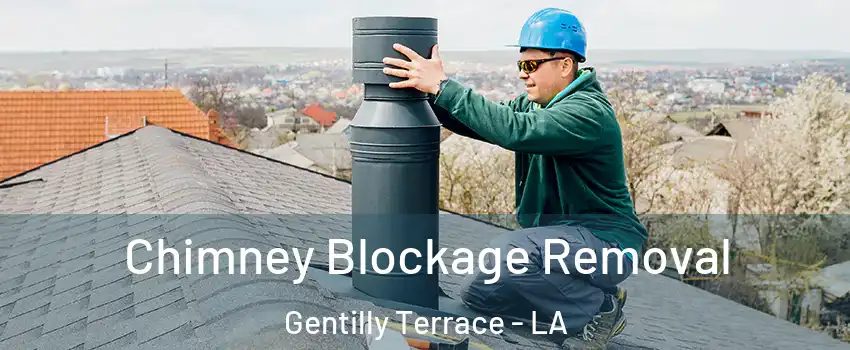 Chimney Blockage Removal Gentilly Terrace - LA