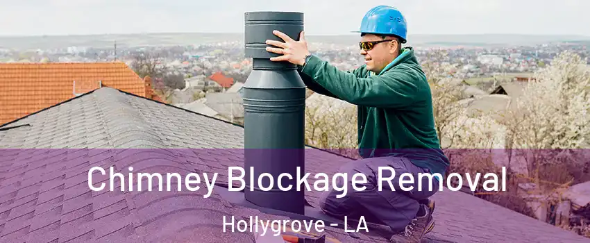 Chimney Blockage Removal Hollygrove - LA