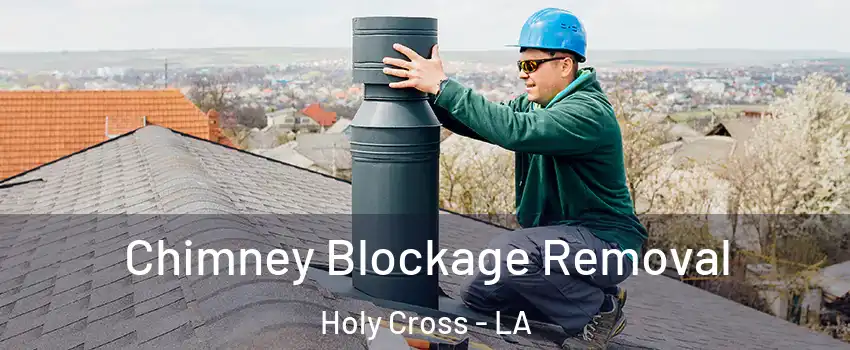 Chimney Blockage Removal Holy Cross - LA