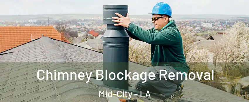 Chimney Blockage Removal Mid-City - LA