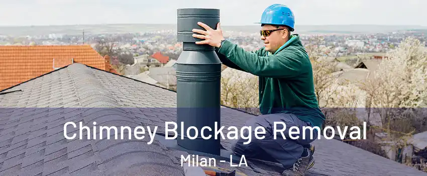 Chimney Blockage Removal Milan - LA