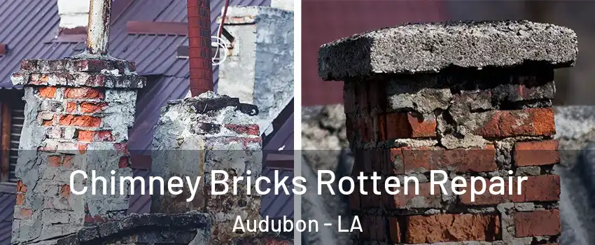 Chimney Bricks Rotten Repair Audubon - LA