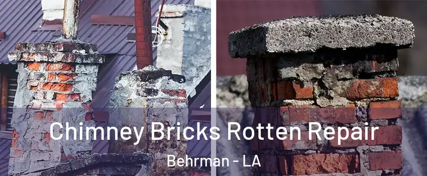 Chimney Bricks Rotten Repair Behrman - LA