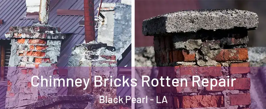 Chimney Bricks Rotten Repair Black Pearl - LA