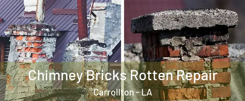 Chimney Bricks Rotten Repair Carrollton - LA