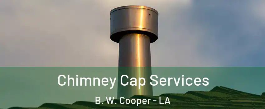 Chimney Cap Services B. W. Cooper - LA