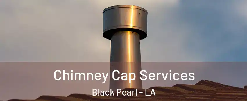 Chimney Cap Services Black Pearl - LA