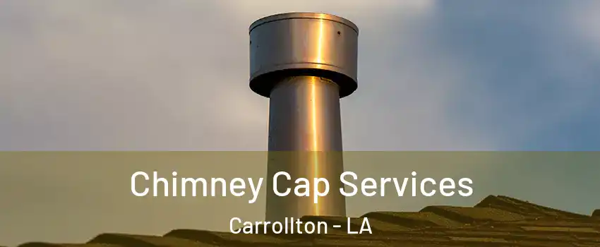 Chimney Cap Services Carrollton - LA