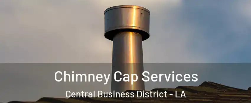 Chimney Cap Services Central Business District - LA