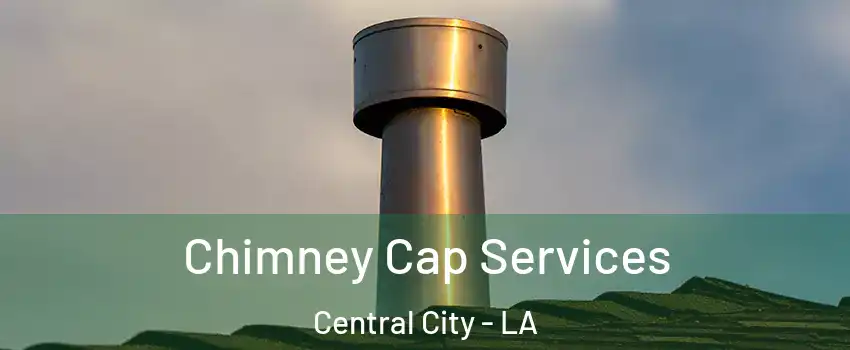 Chimney Cap Services Central City - LA