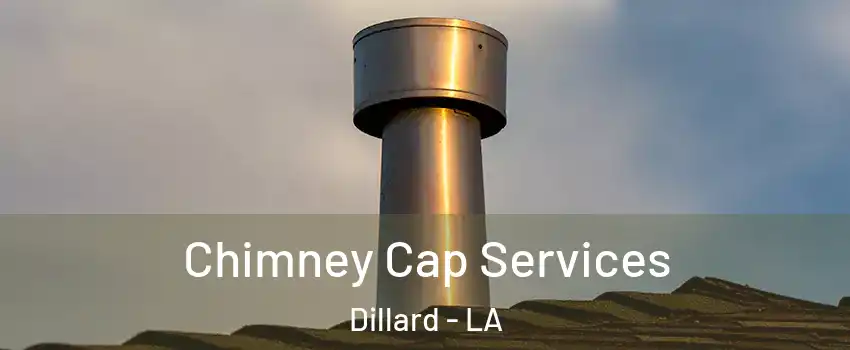 Chimney Cap Services Dillard - LA