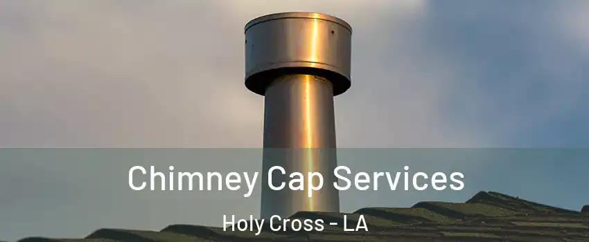 Chimney Cap Services Holy Cross - LA