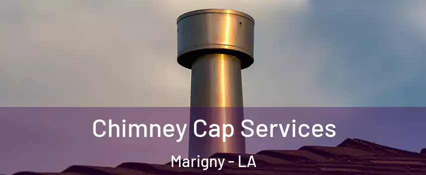 Chimney Cap Services Marigny - LA