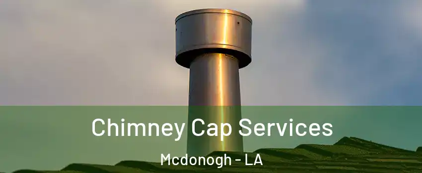 Chimney Cap Services Mcdonogh - LA