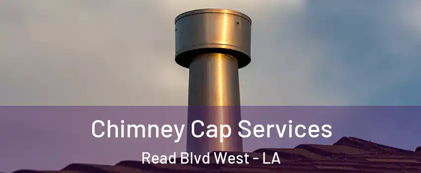 Chimney Cap Services Read Blvd West - LA