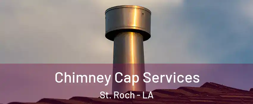 Chimney Cap Services St. Roch - LA