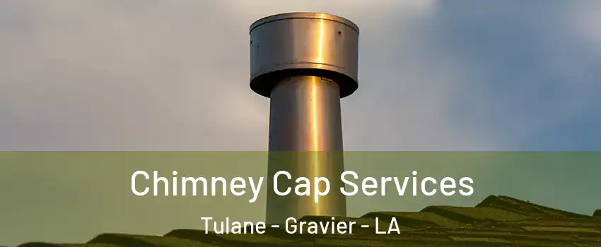 Chimney Cap Services Tulane - Gravier - LA