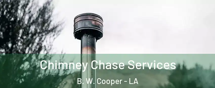 Chimney Chase Services B. W. Cooper - LA