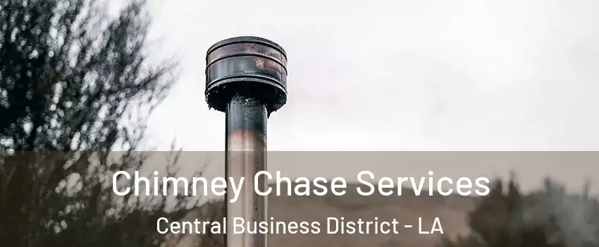 Chimney Chase Services Central Business District - LA