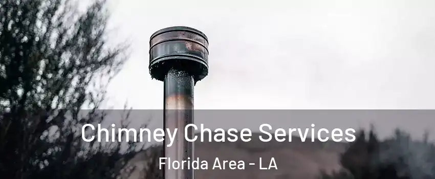 Chimney Chase Services Florida Area - LA