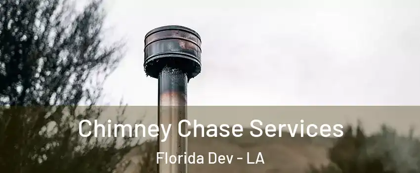 Chimney Chase Services Florida Dev - LA