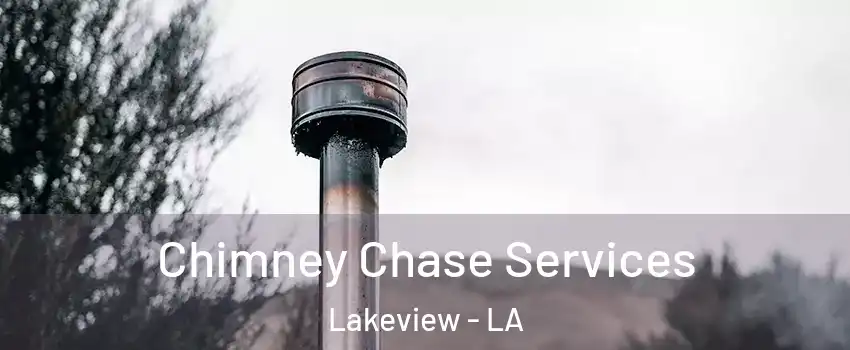 Chimney Chase Services Lakeview - LA