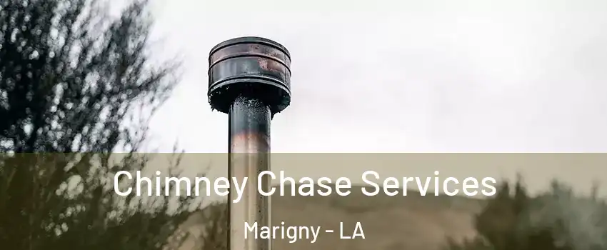 Chimney Chase Services Marigny - LA