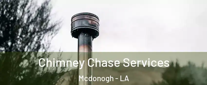 Chimney Chase Services Mcdonogh - LA