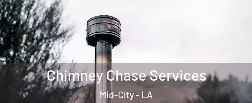 Chimney Chase Services Mid-City - LA