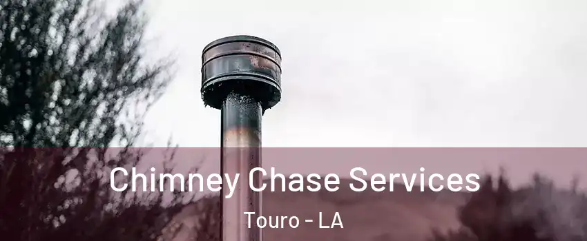 Chimney Chase Services Touro - LA