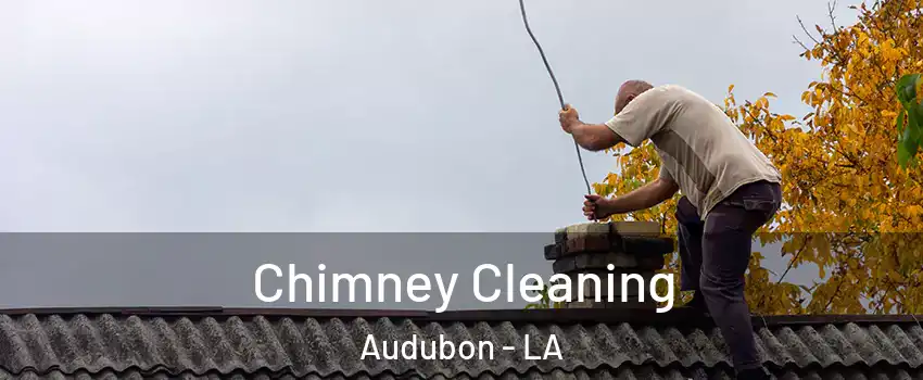 Chimney Cleaning Audubon - LA