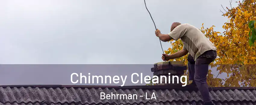 Chimney Cleaning Behrman - LA