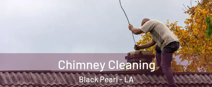 Chimney Cleaning Black Pearl - LA