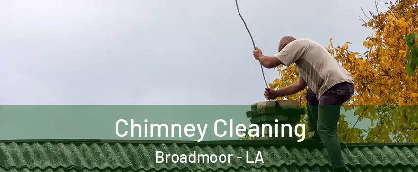 Chimney Cleaning Broadmoor - LA