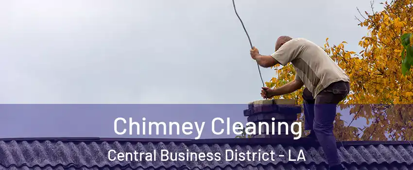 Chimney Cleaning Central Business District - LA