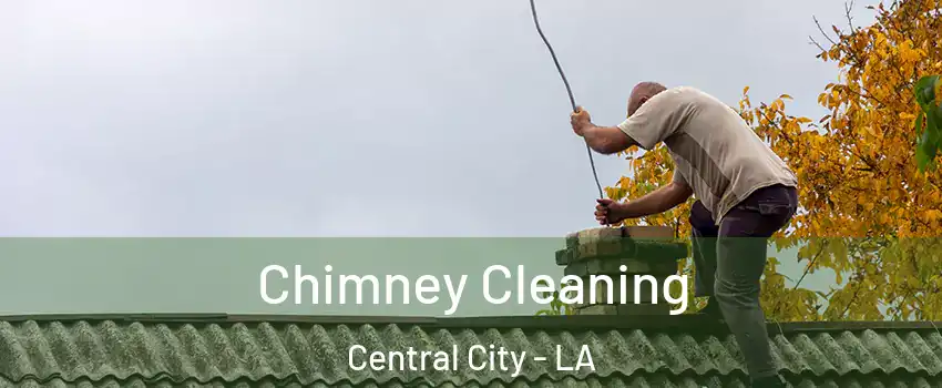 Chimney Cleaning Central City - LA