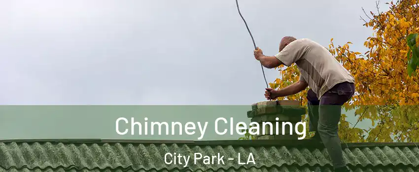 Chimney Cleaning City Park - LA