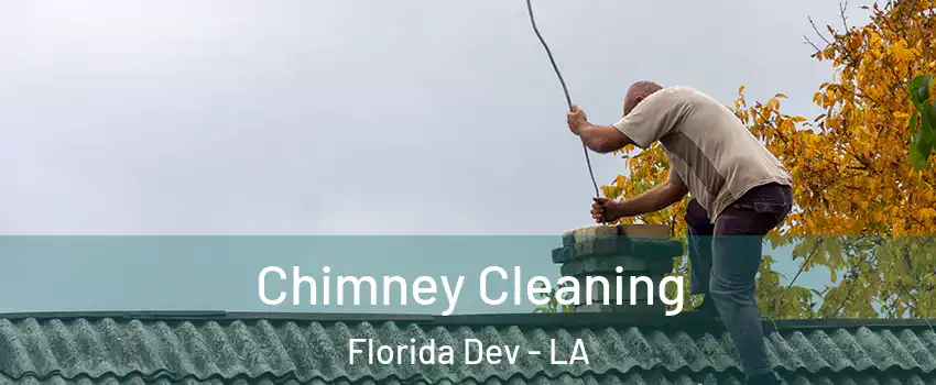 Chimney Cleaning Florida Dev - LA