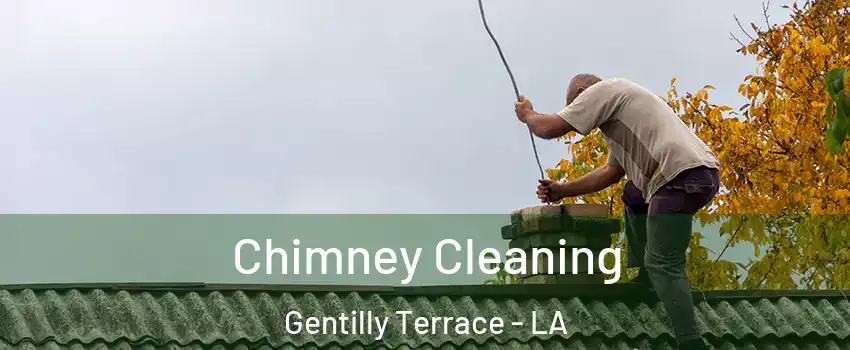 Chimney Cleaning Gentilly Terrace - LA