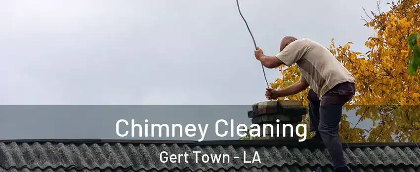 Chimney Cleaning Gert Town - LA