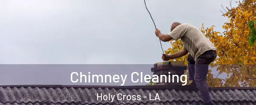 Chimney Cleaning Holy Cross - LA