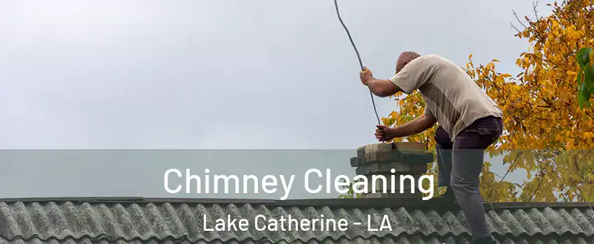 Chimney Cleaning Lake Catherine - LA