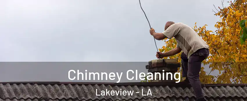 Chimney Cleaning Lakeview - LA