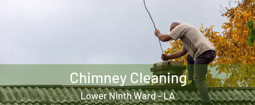 Chimney Cleaning Lower Ninth Ward - LA