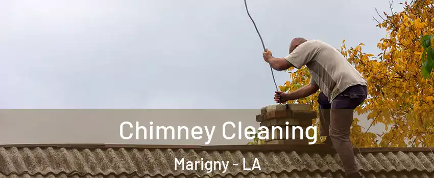 Chimney Cleaning Marigny - LA