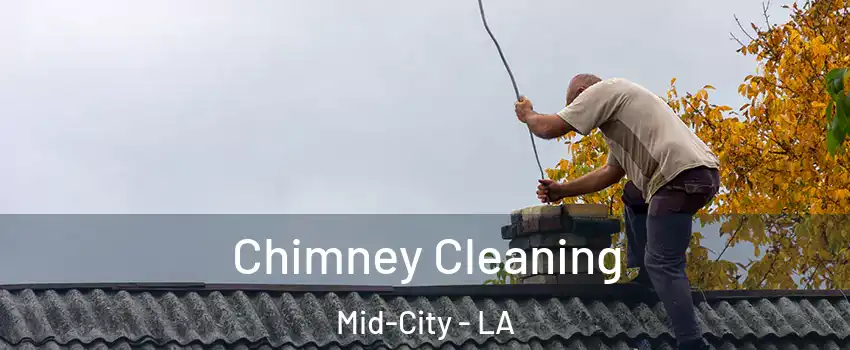 Chimney Cleaning Mid-City - LA