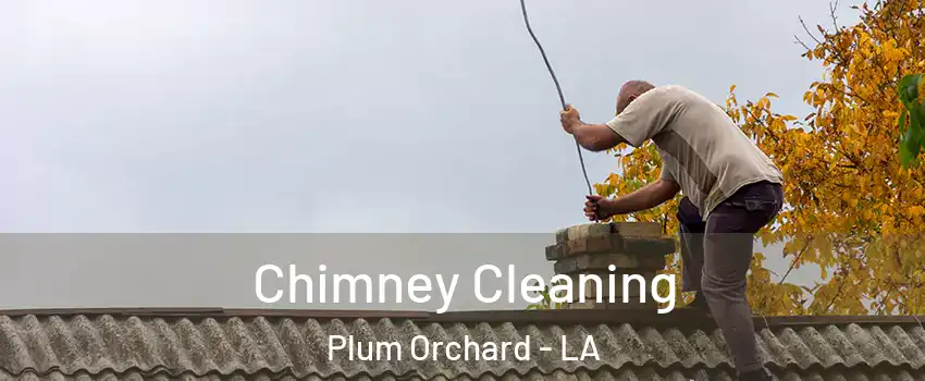 Chimney Cleaning Plum Orchard - LA