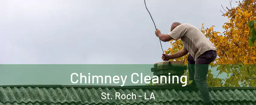 Chimney Cleaning St. Roch - LA